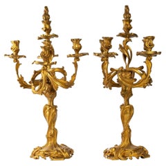 Pair of Louis XV Style Gilt Bronze Candelabras