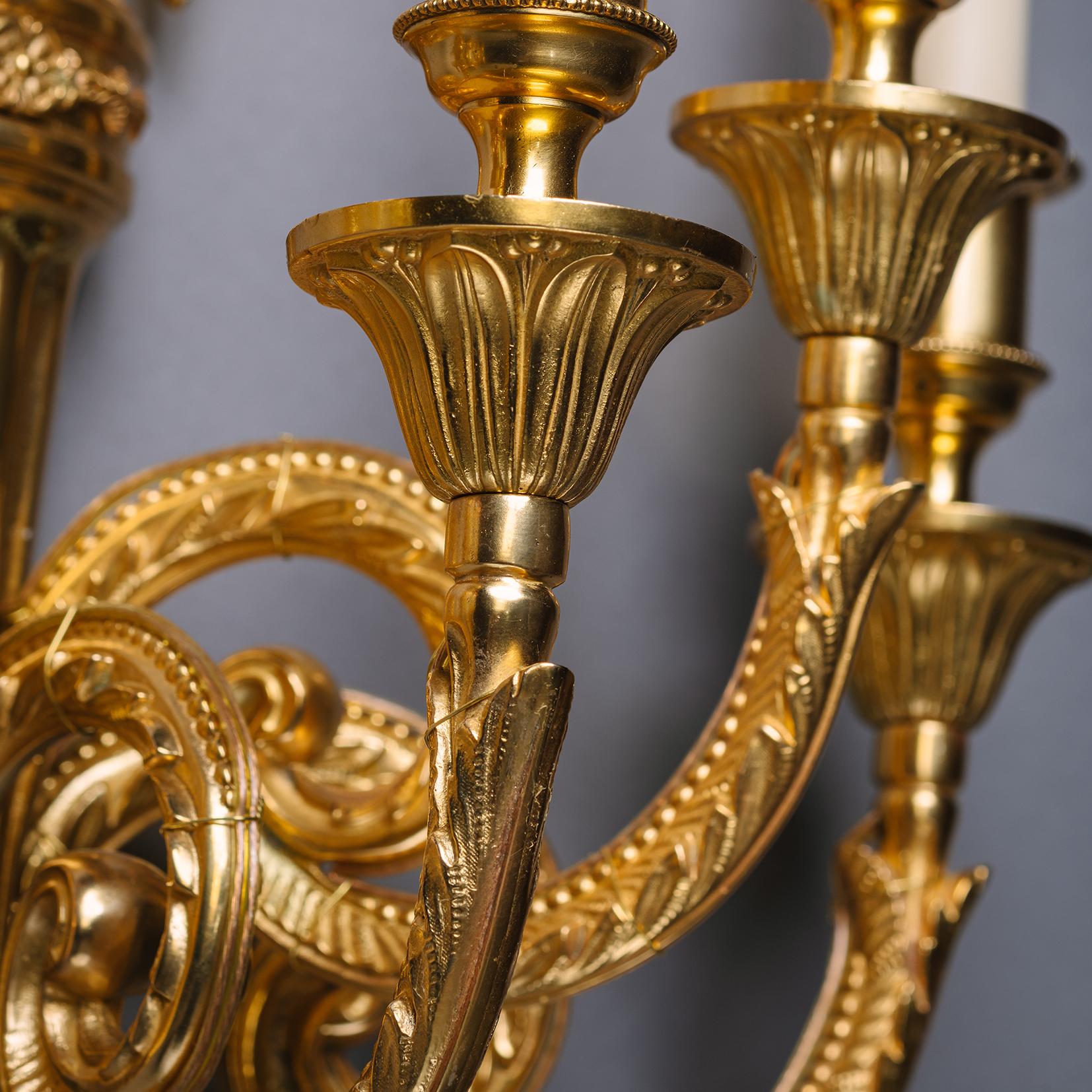 Ein Paar Louis XVI-Wandapplikationen aus vergoldeter Bronze mit fünf Lichtern (Vergoldet) im Angebot