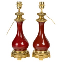 A Pair of Louis XVI Style Gilt Bronze Mounted Porcelain Lamps.