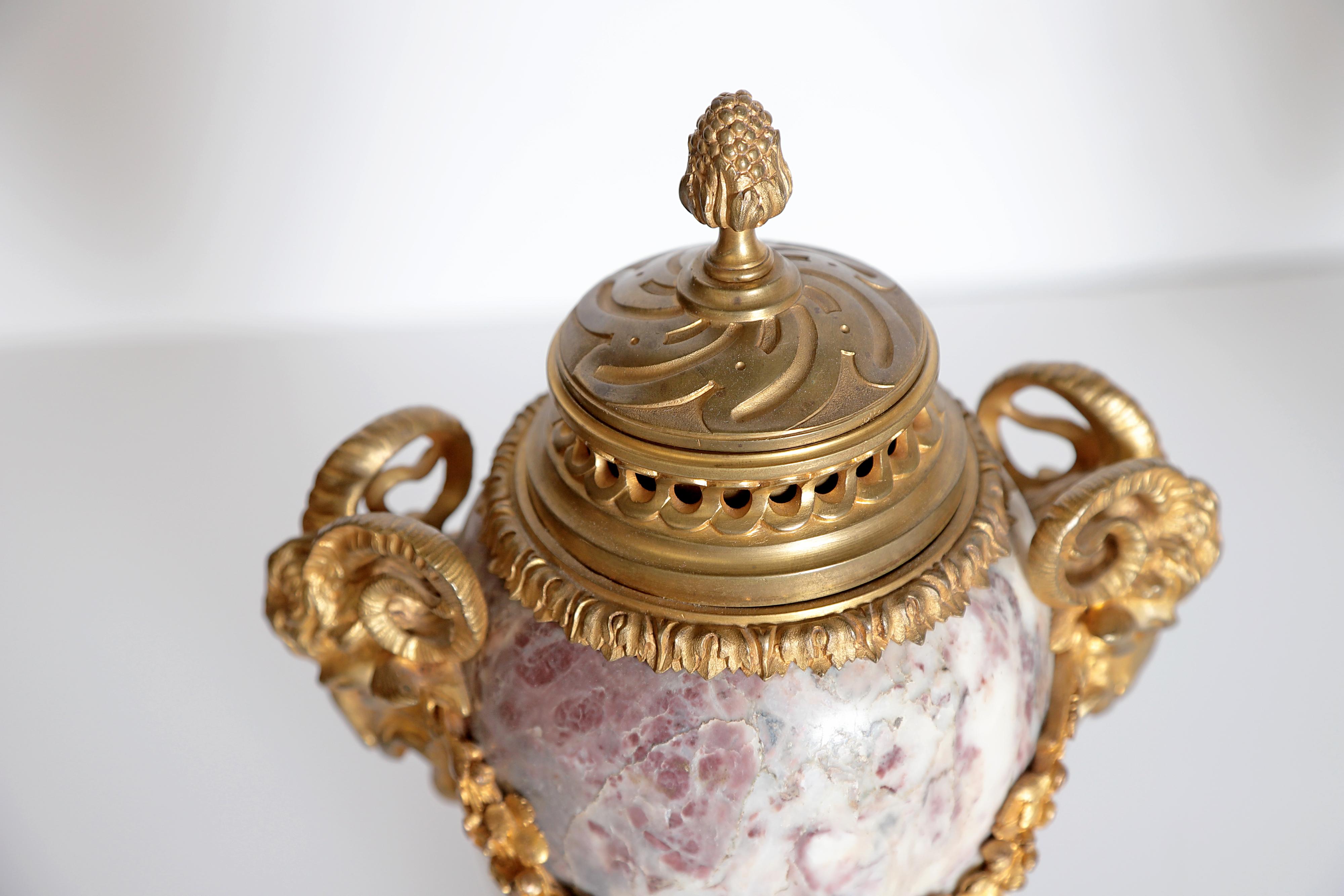 Pair of Louis XVI Style Marble Cassolettes with Gilt Bronze Mounts 7