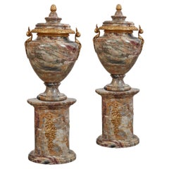 Pair French Louis XVI Style Ormolu Mounted Exotic Marble Urns on Pedestals