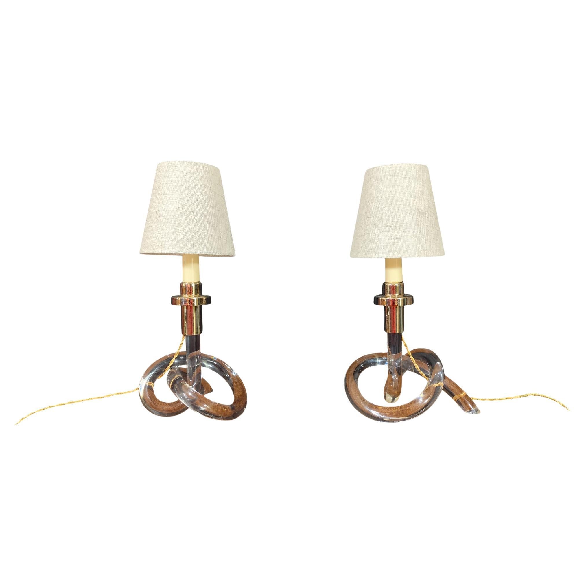 Pareja de lámparas "Bretzel" de Lucite, atribuidas a Dorothy Thorpe en venta