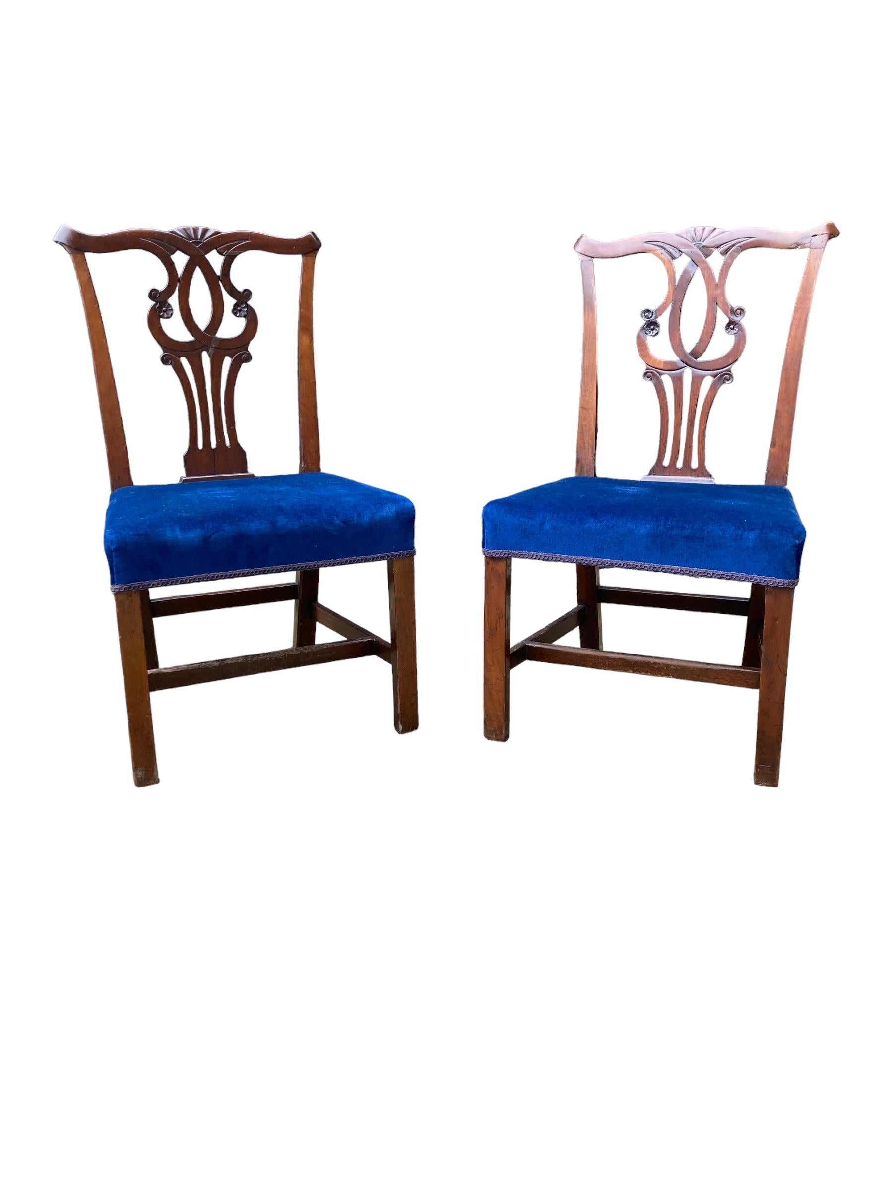 A pair of Mahogany Chippendale style Edwardian dining chairs. Reupholstered in a deep blue velvet like fabric. Very solid and ornate chairs. One of the chairs has a professional but minor repair to the back which adds to the charm and character of