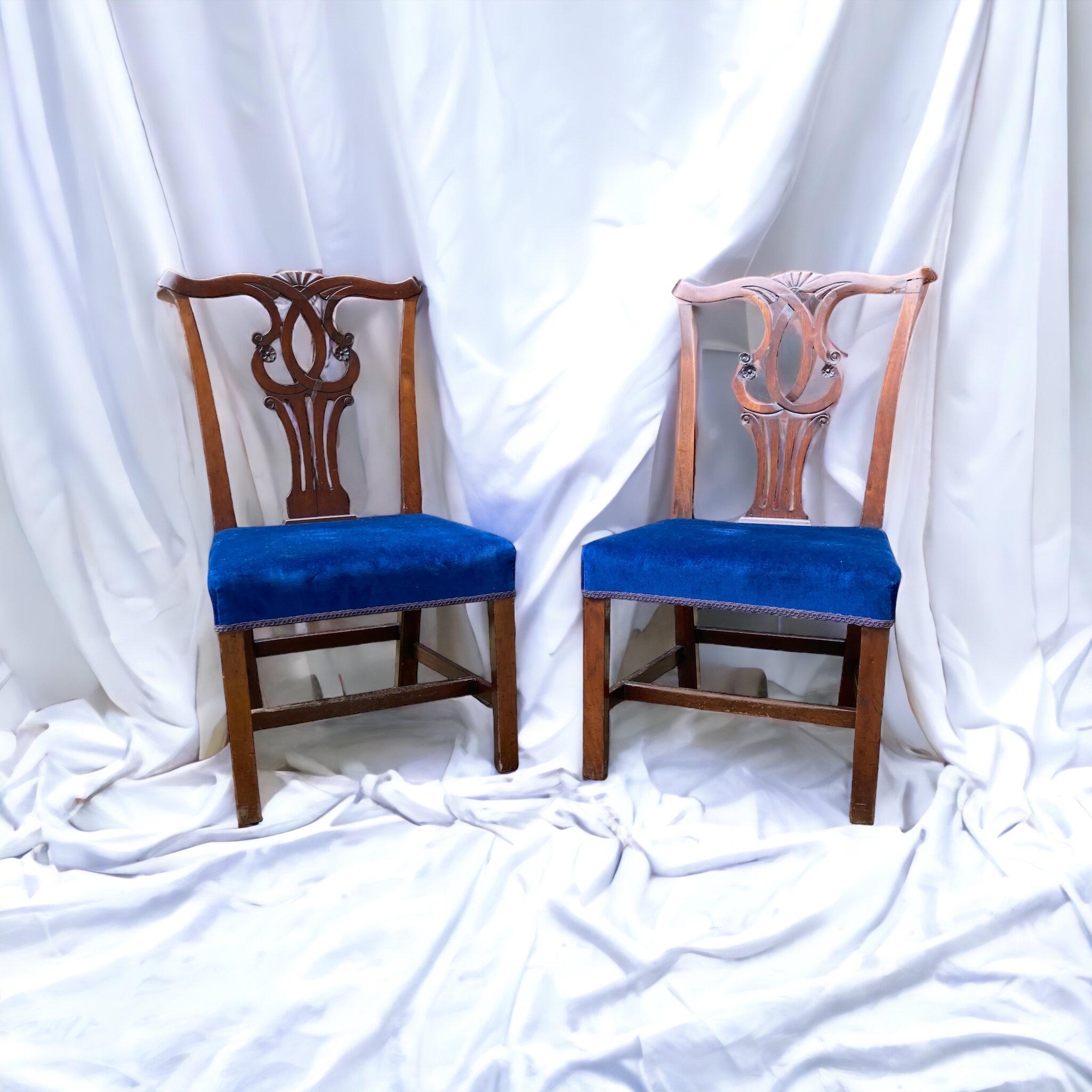 A pair of Mahogany Chippendale style Edwardian dining chairs. For Sale 2