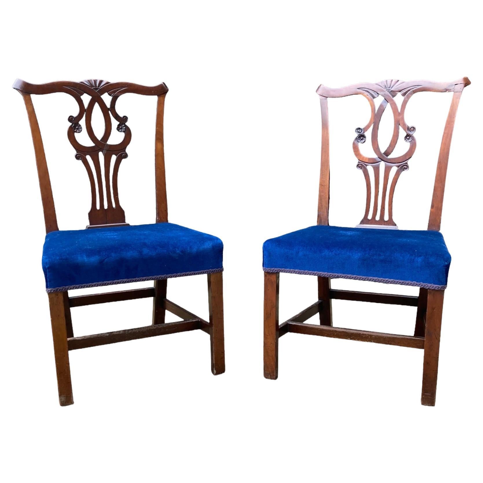 Une paire de chaises de salle à manger édouardiennes de style Chippendale en acajou. en vente