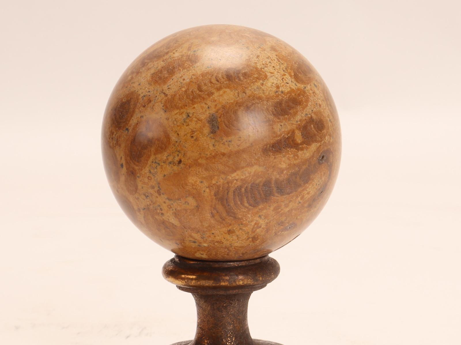 A pair of marine fossil “Mothership” stones spheres, Italy 1890. For Sale 3