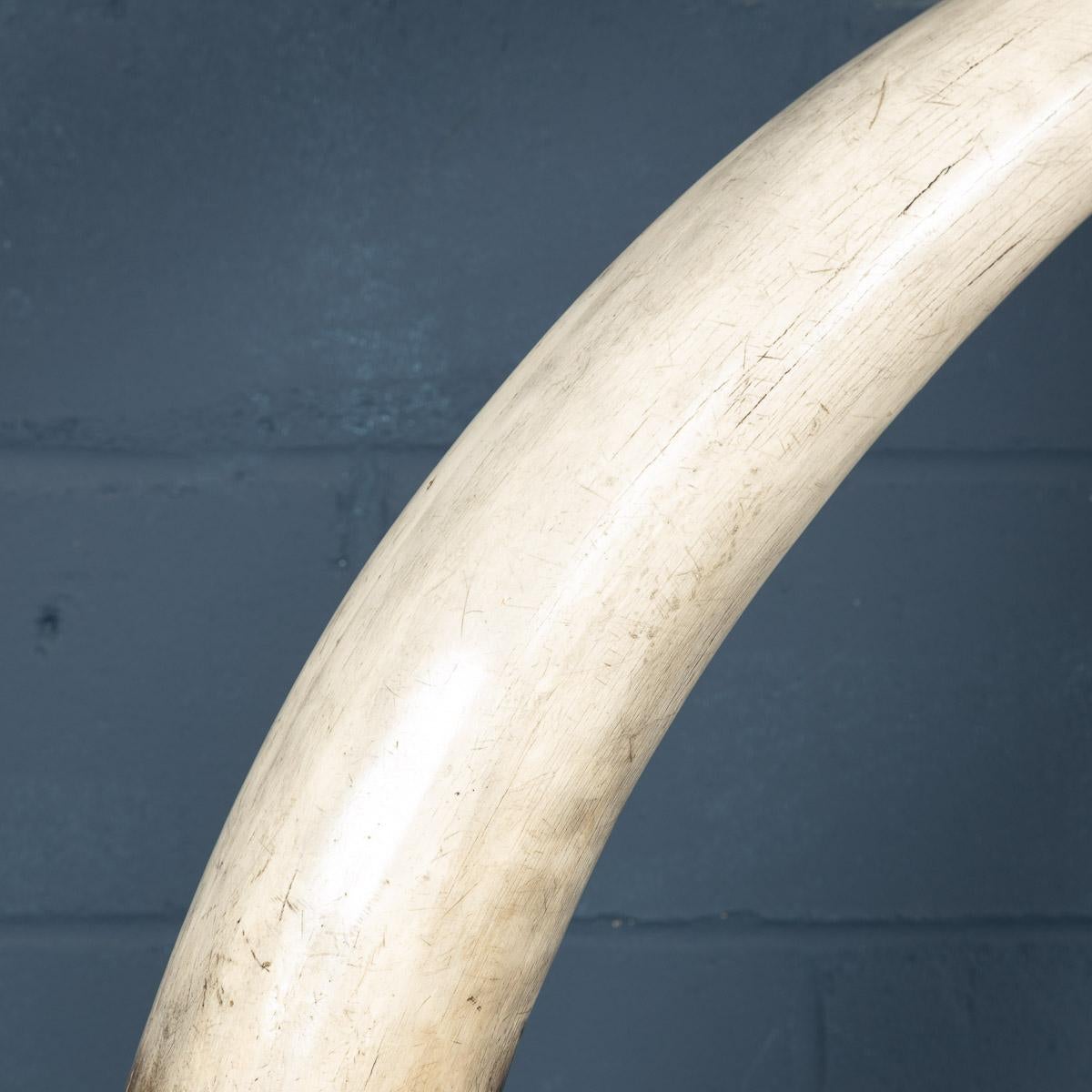 Pair of Massive 21st Century Resin Tusks by Anthony Redmile London 5