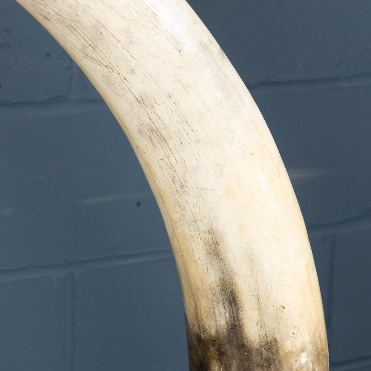 Pair of Massive 21st Century Resin Tusks by Anthony Redmile London 9