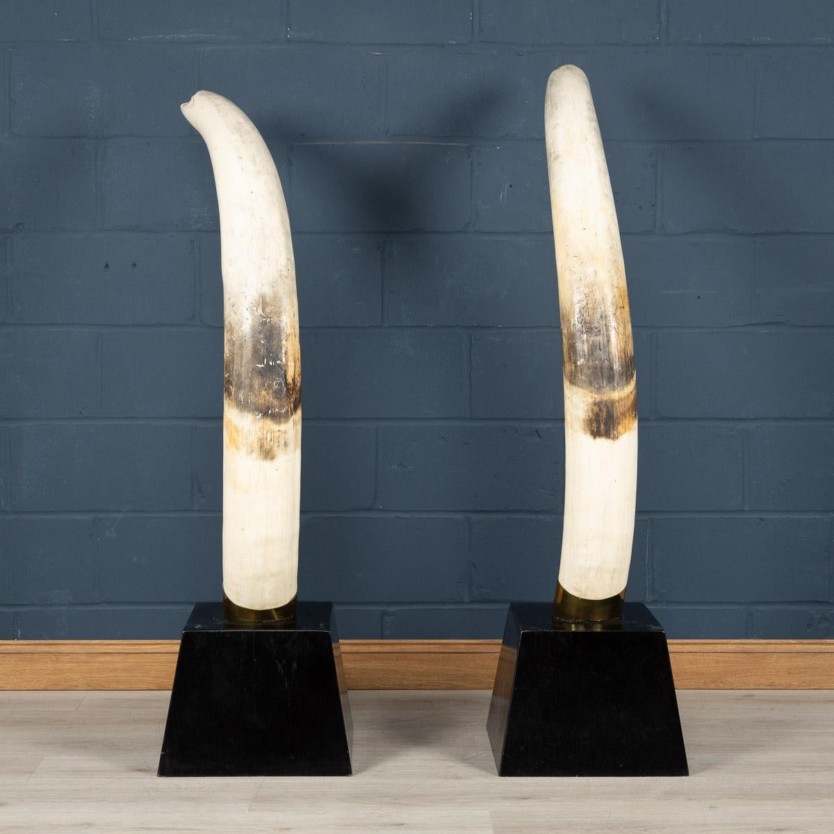 Pair of Massive 21st Century Resin Tusks by Anthony Redmile London In Good Condition In Royal Tunbridge Wells, Kent