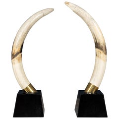 Pair of Massive 21st Century Resin Tusks by Anthony Redmile London