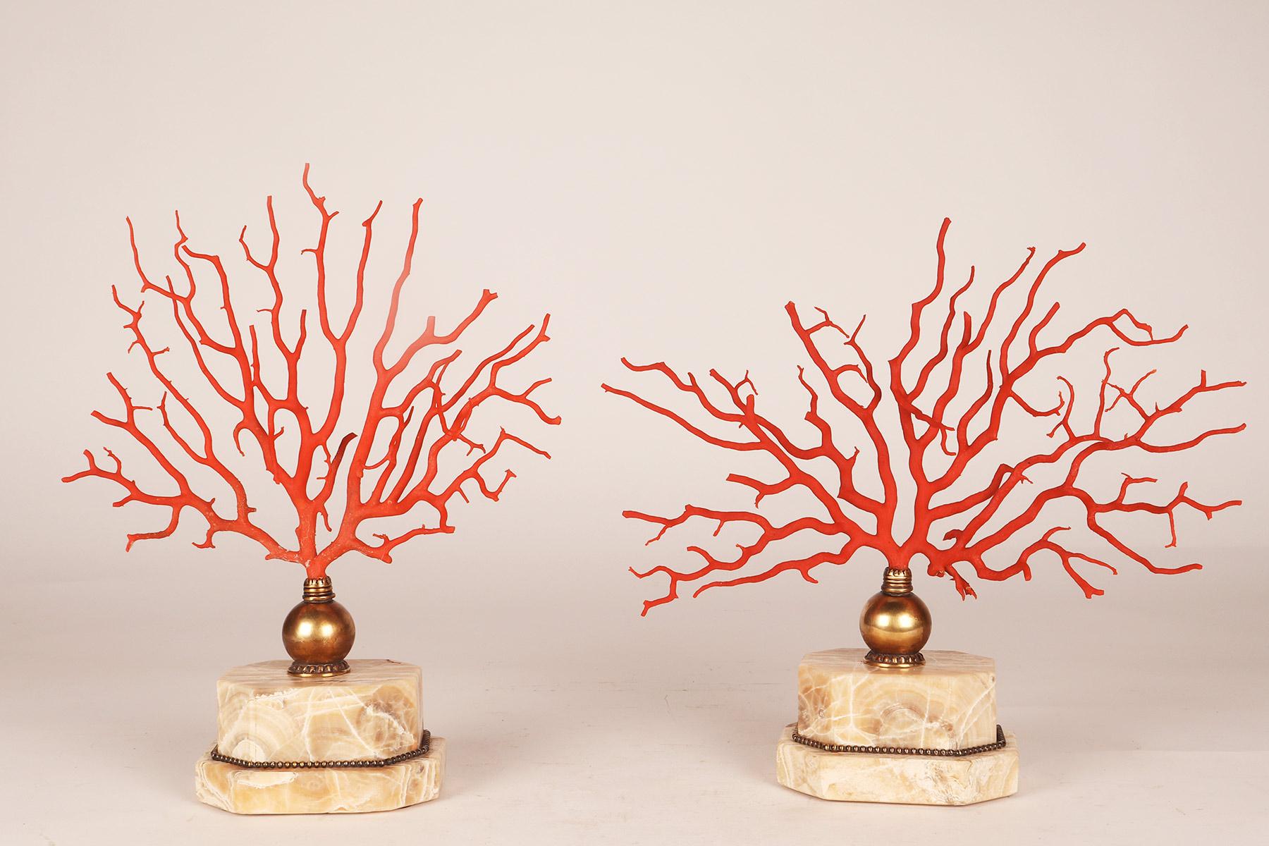 Zwei große Äste aus roter Mittelmeerkoralle (Corallium Rubrum), montiert auf großen achteckigen Alabastersockeln mit Schuldbronzeprofil. Verbindung mit einem kugelförmigen Bronzeelement mit vasenförmigem Abschluss, angereichert mit Bronzeperlen, die