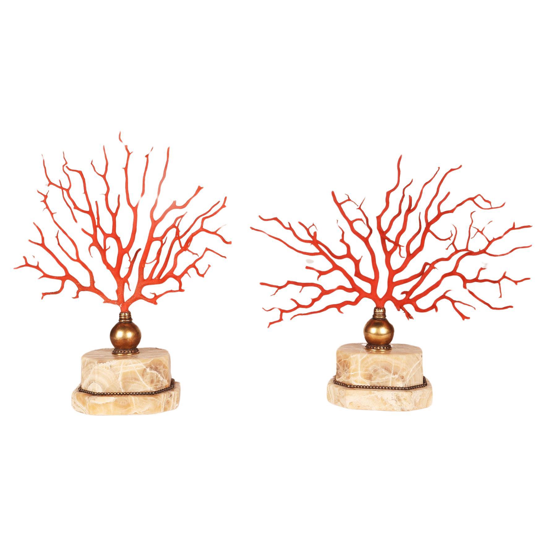 Mediterranean red coral for sale best sale