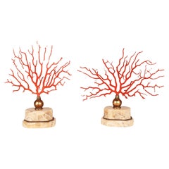 A pair of Mediterranean red coral (Corallium Rubrum), Italy 1880s.