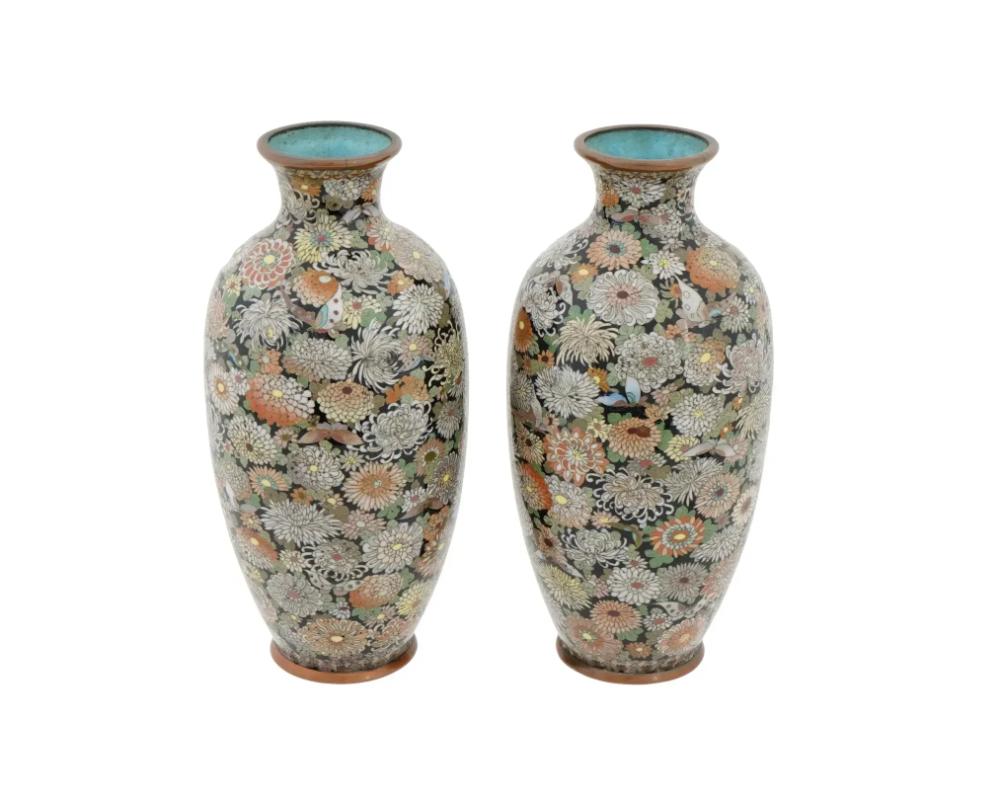 A pair of antique Japanese Cloisonne Enamel vases. Late Meiji period, Circa 1890 of Elongated baluster shape. 

The pieces are richly covered with silver wire in Multi color chrysanthemum flowers and butterflies.

Dimensions: Each H 6 1/4 in. All