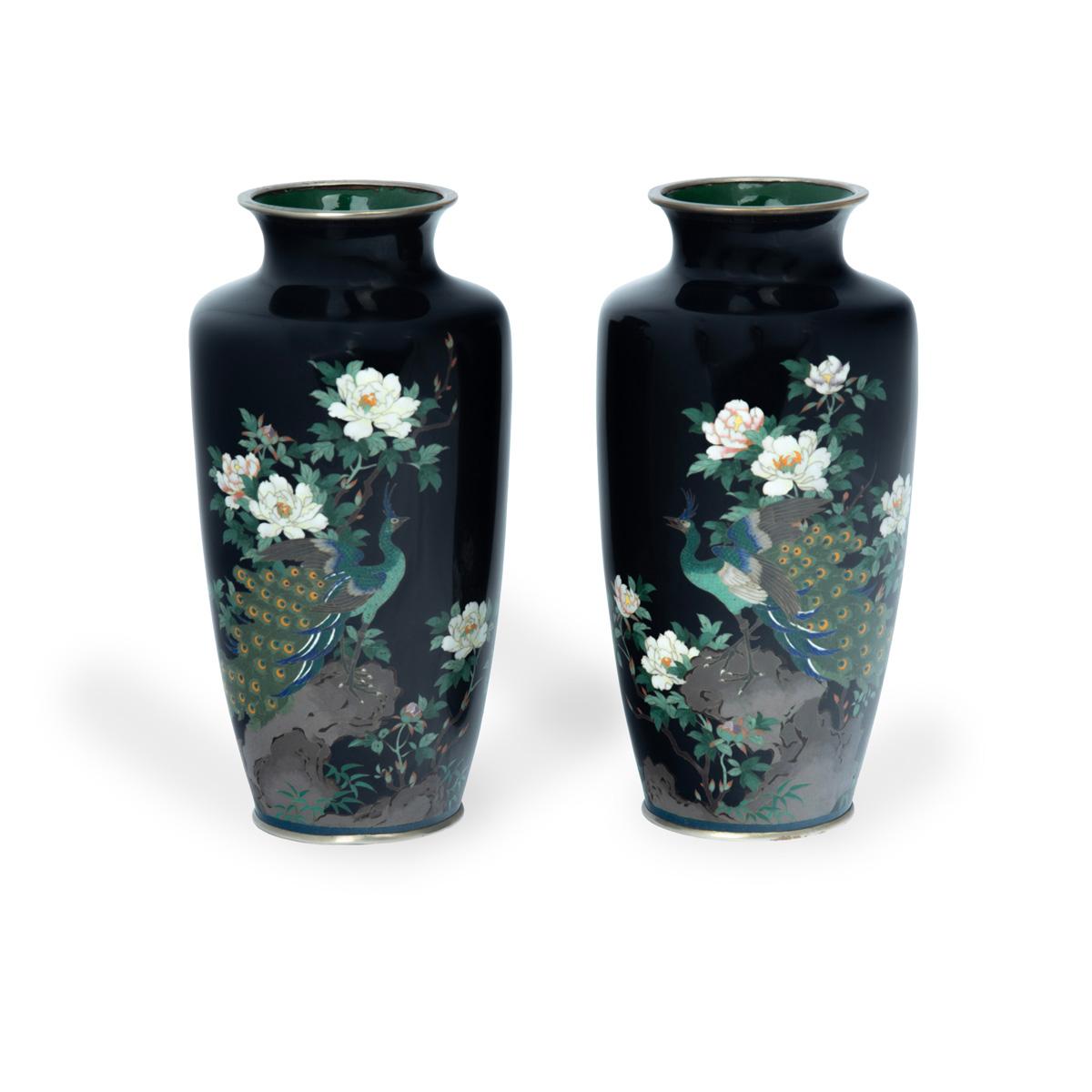 A pair of Meiji period blue cloisonne vases, each with a peacock on a rocky outcrop surrounded by flowering peony plants on a dark blue ground, the peacocks facing each other, with silvered rims and in their original boxes, one rim with a small