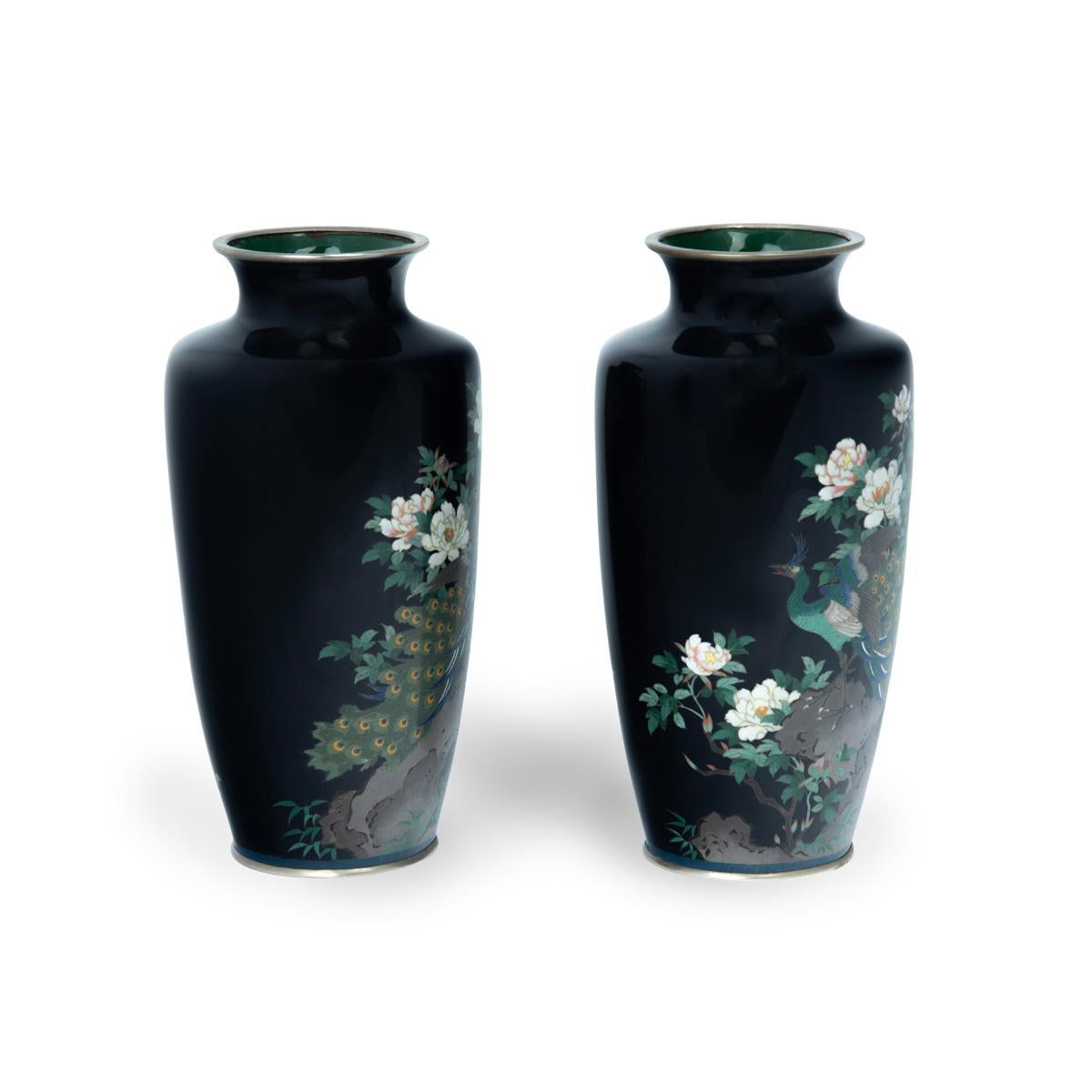 Early 20th Century A pair of Meiji period blue cloisonne vases For Sale
