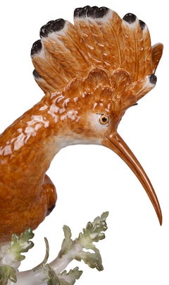 Pair of Meissen Hoopoe Birds, 19th Century
