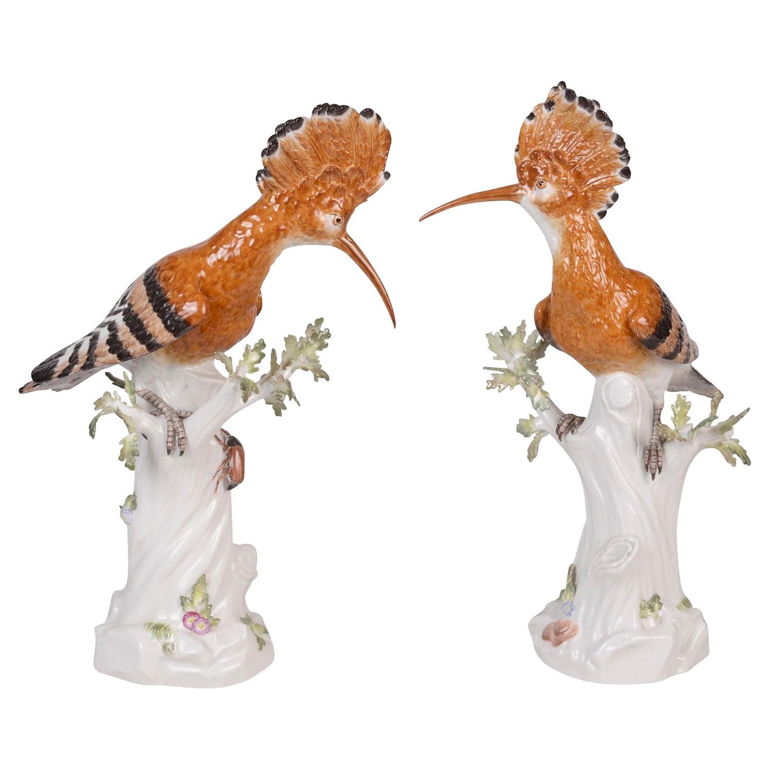 Pair of Meissen Hoopoe Birds, 19th Century For Sale