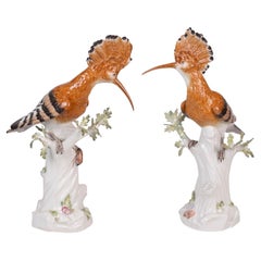 Antique Pair of Meissen Hoopoe Birds, 19th Century