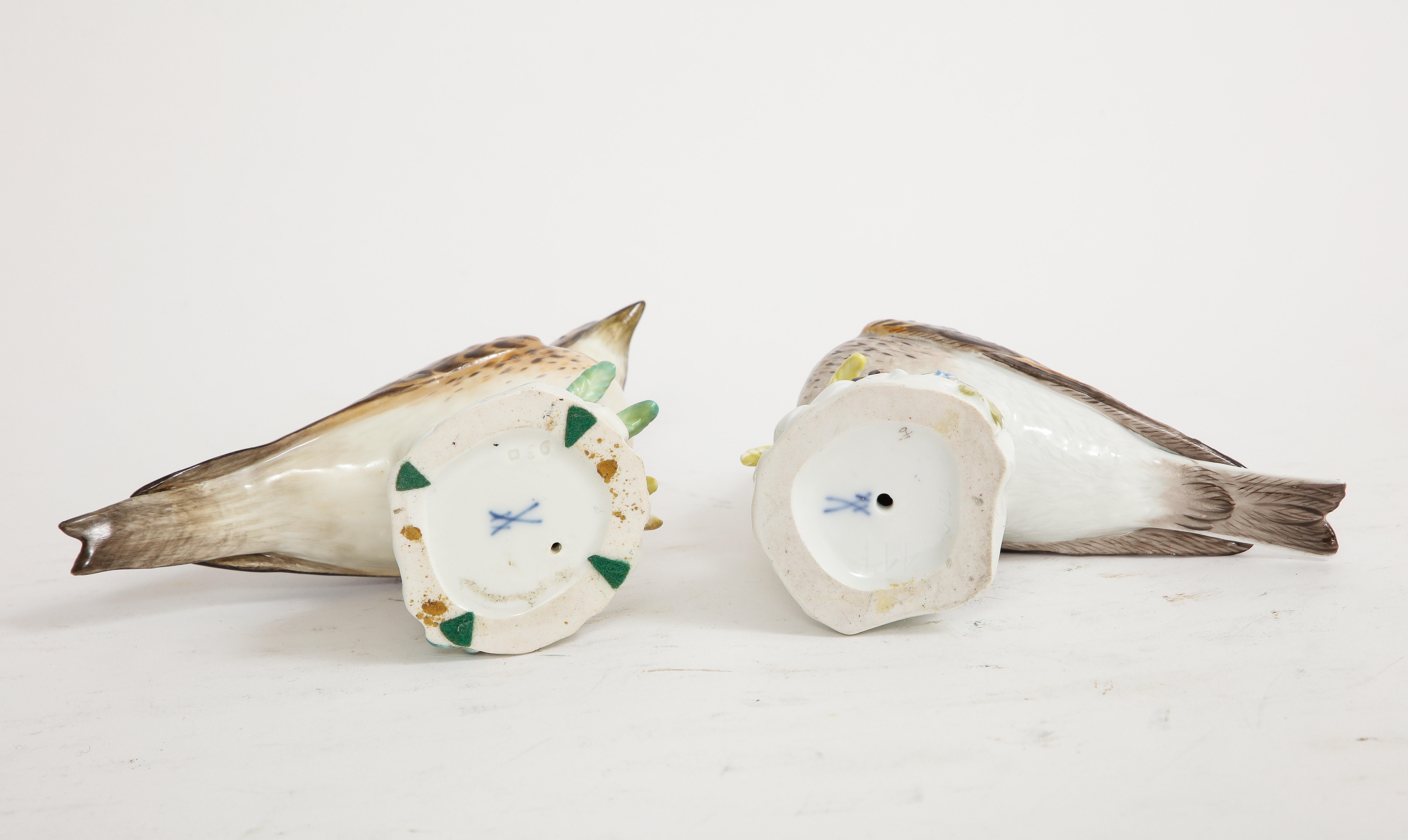 Paar Meissen Porcelain Modelle von braunen Feldvögeln im Angebot 4