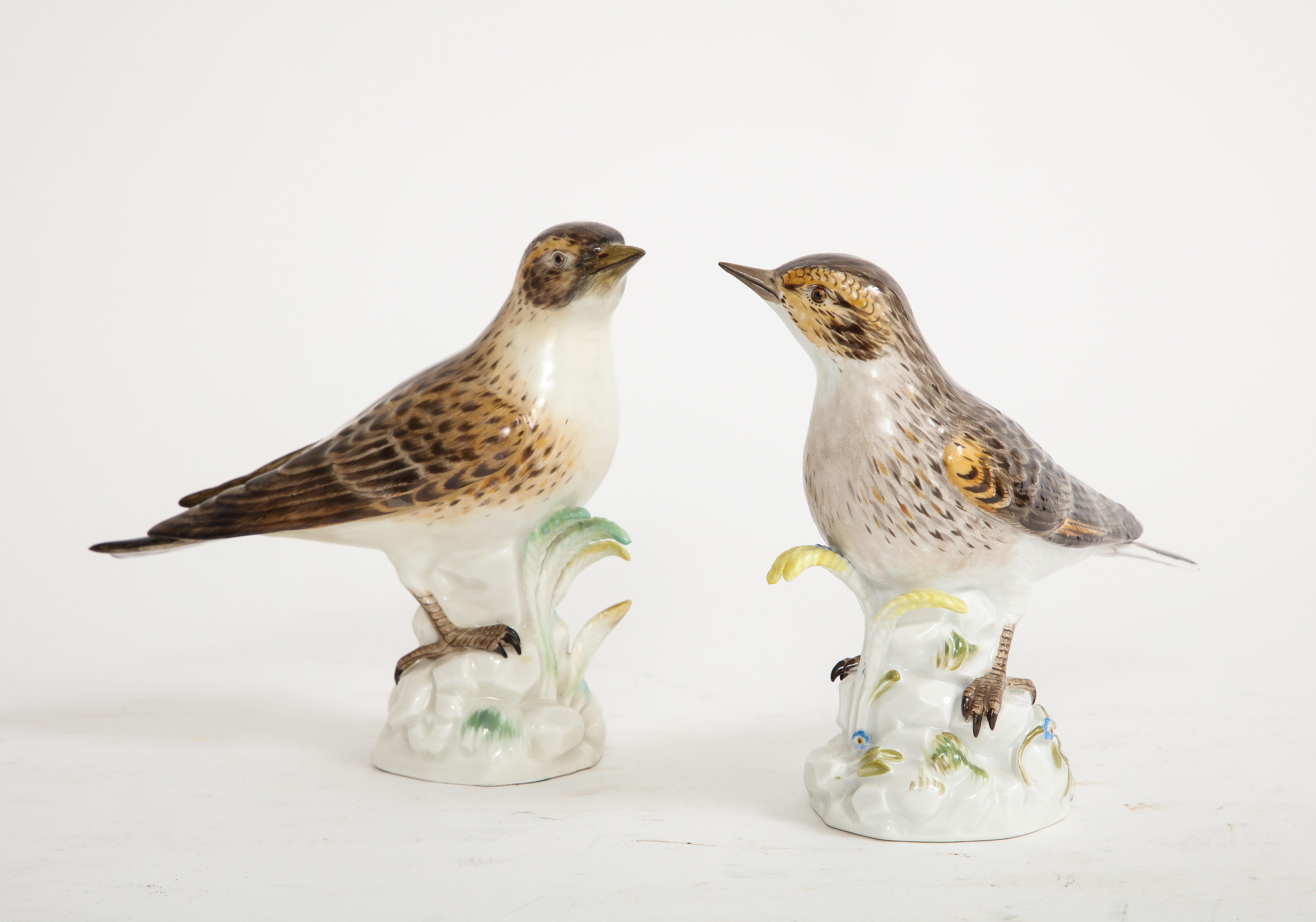 Paire de modèles en porcelaine de Meissen du 20e siècle représentant des oiseaux bruns. Chacun d'entre eux est représenté de manière naturaliste, perché sur un arbre blanc parsemé de fougères et de fleurs. Ils sont vraiment magnifiques et très