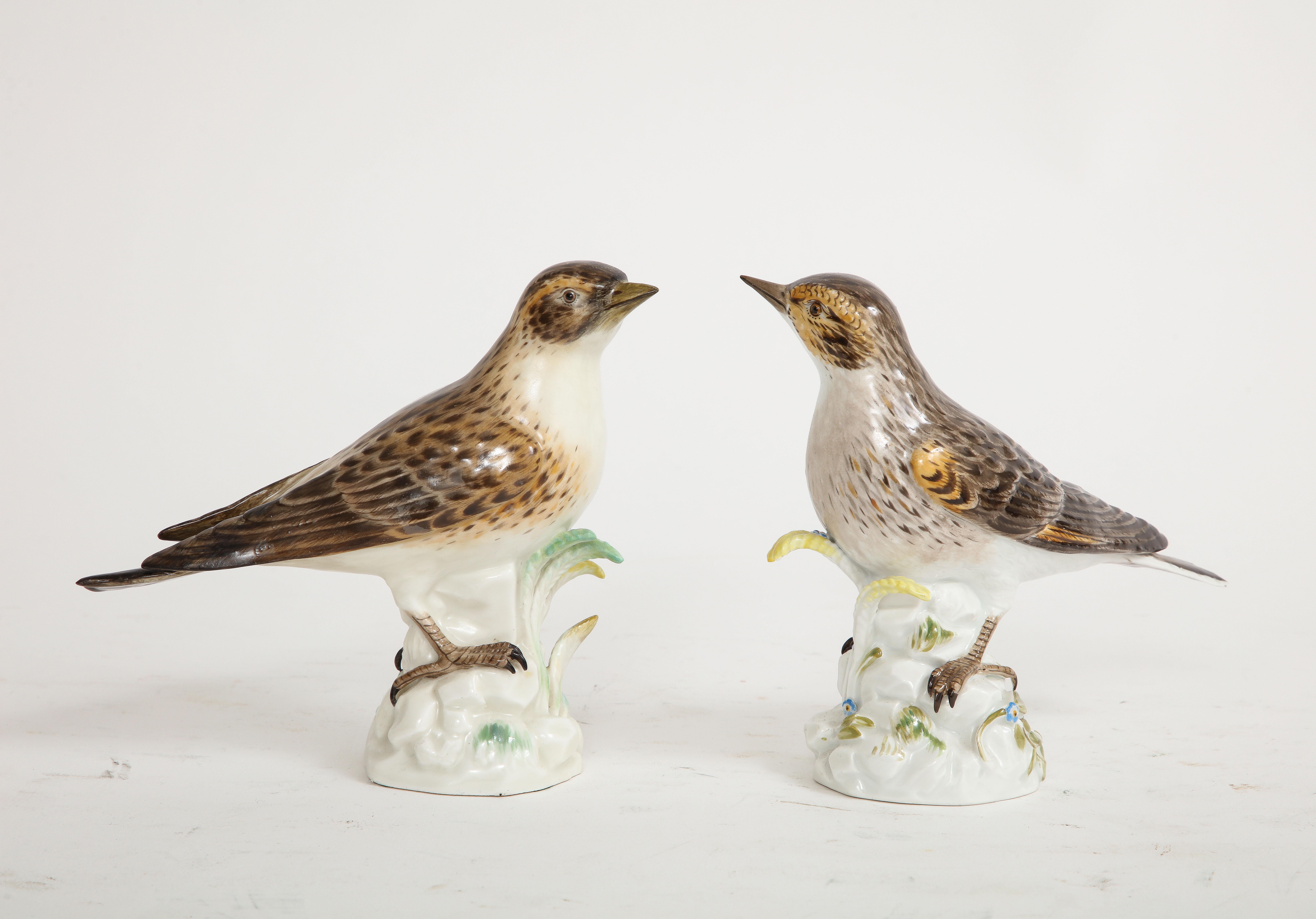 Paar Meissen Porcelain Modelle von braunen Feldvögeln (Deutsch) im Angebot