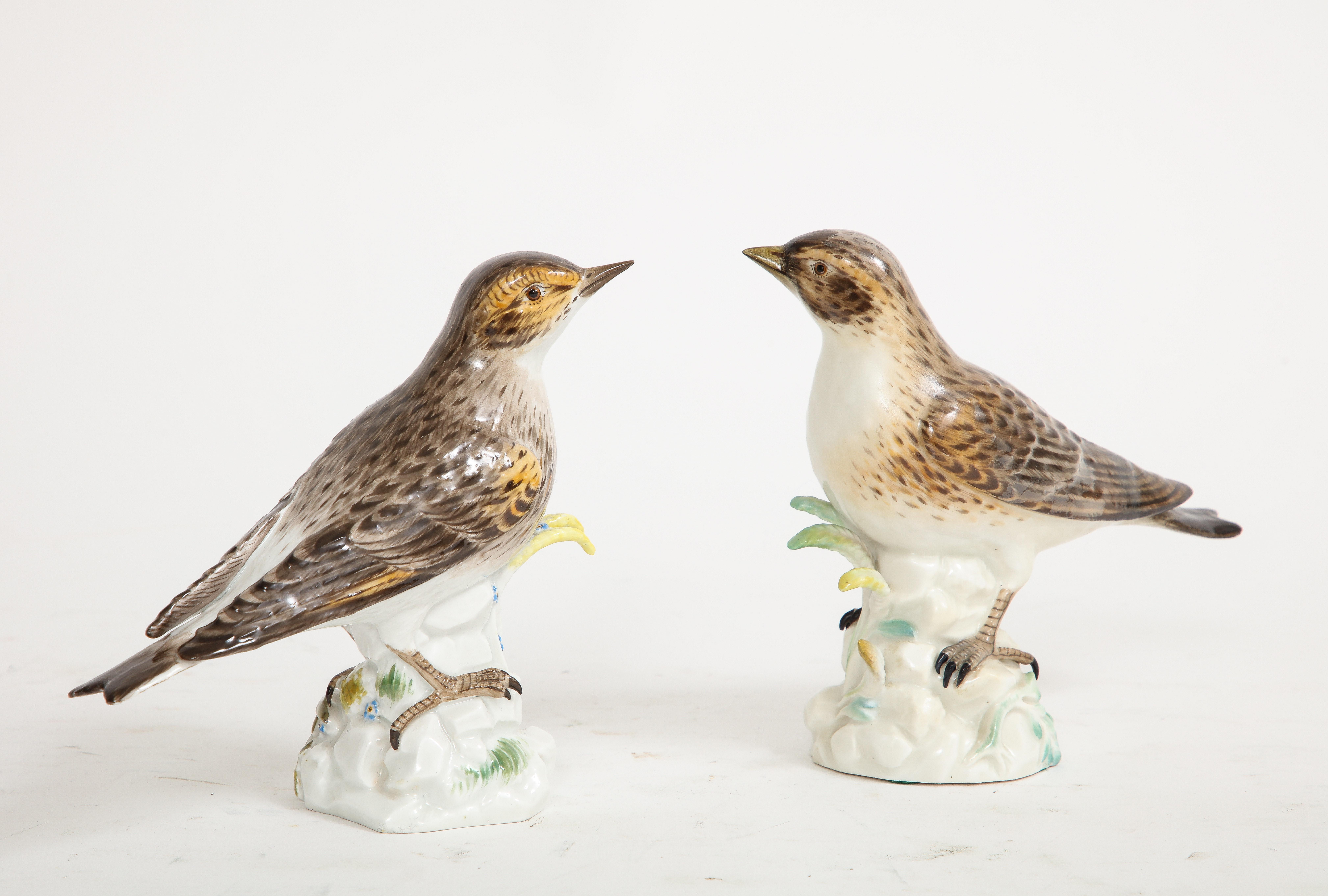 Paar Meissen Porcelain Modelle von braunen Feldvögeln (Handgeschnitzt) im Angebot