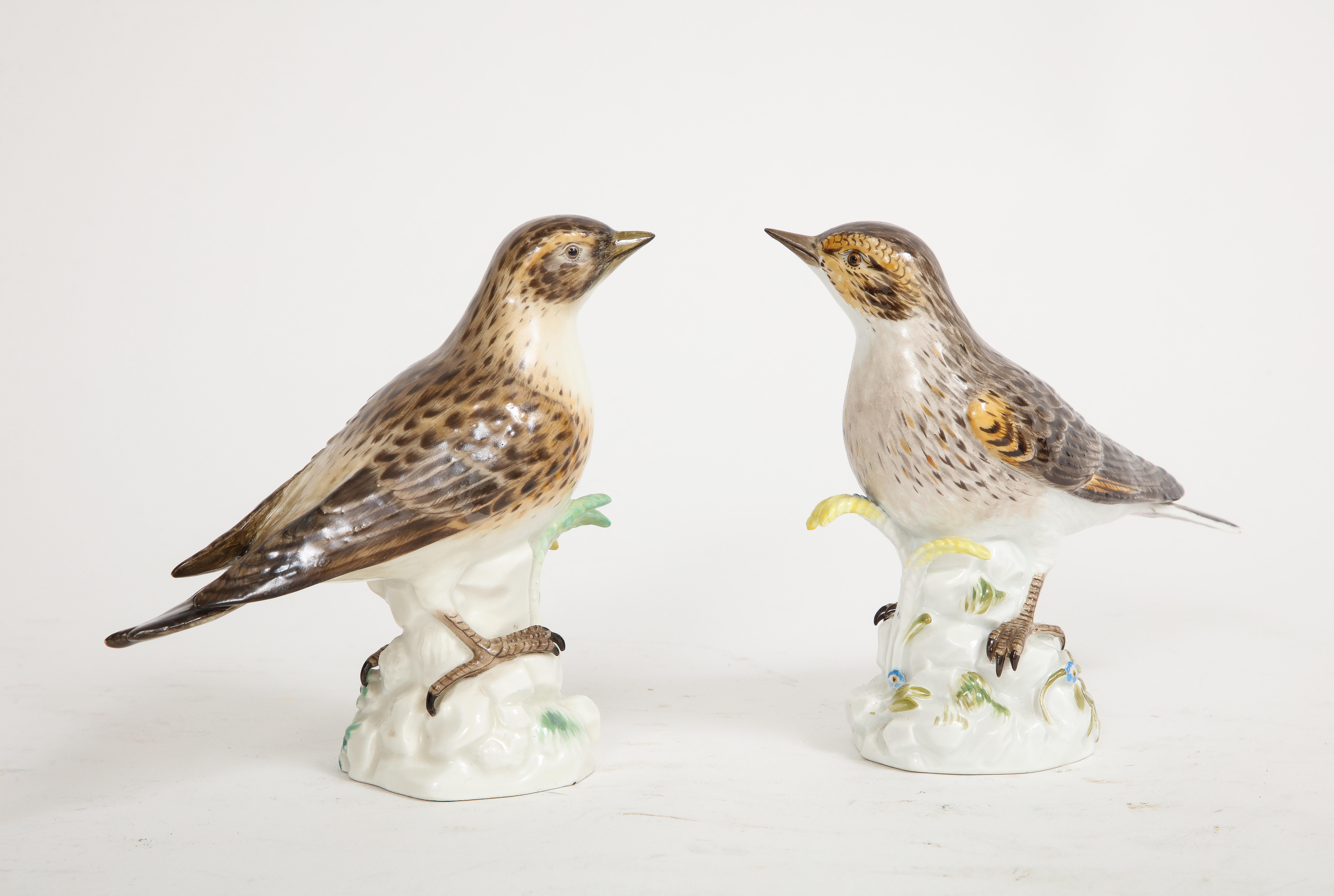 Louis XVI Pair of Meissen Porcelain Models of Brown Fieldfare Birds For Sale