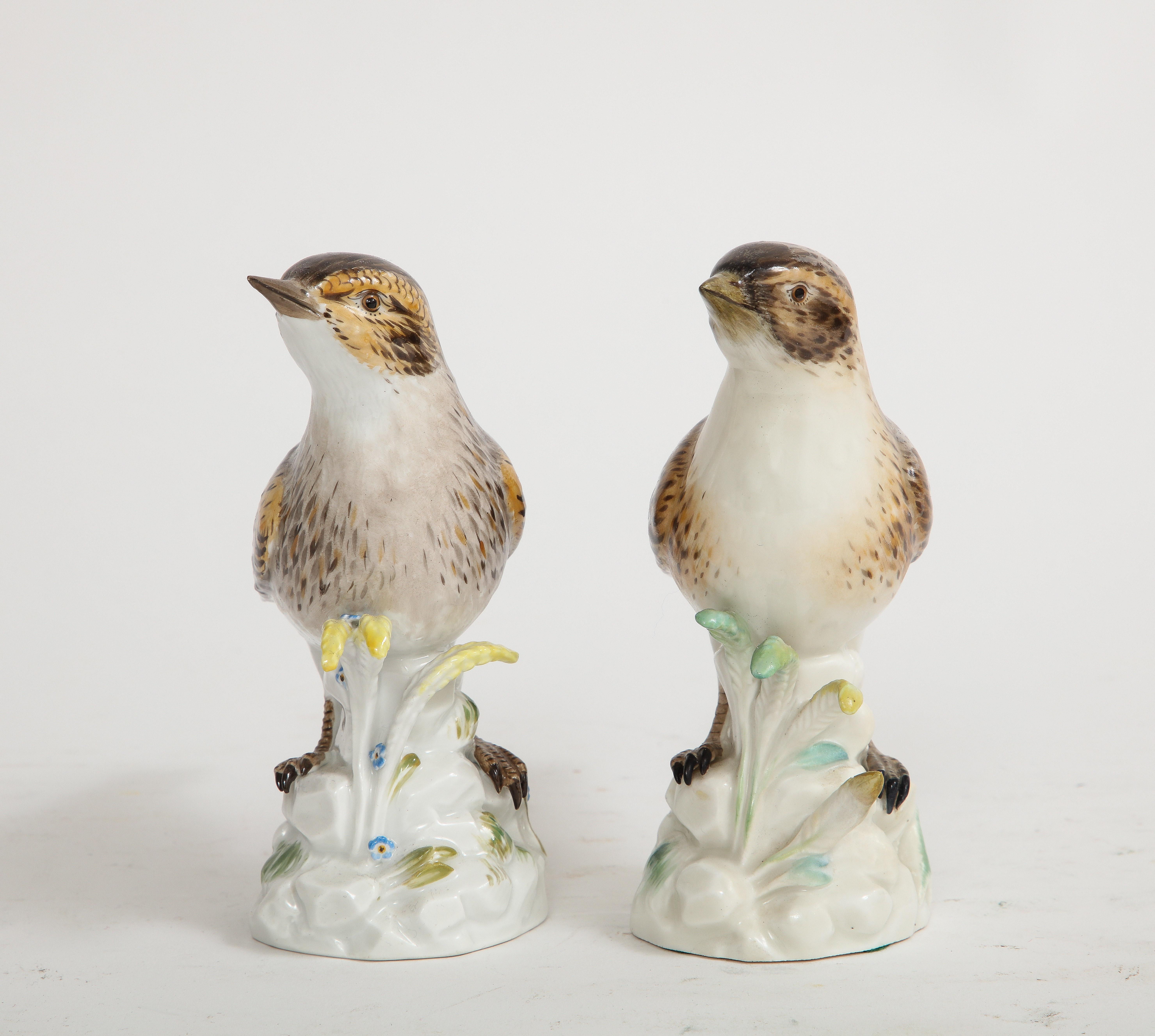 German Pair of Meissen Porcelain Models of Brown Fieldfare Birds For Sale