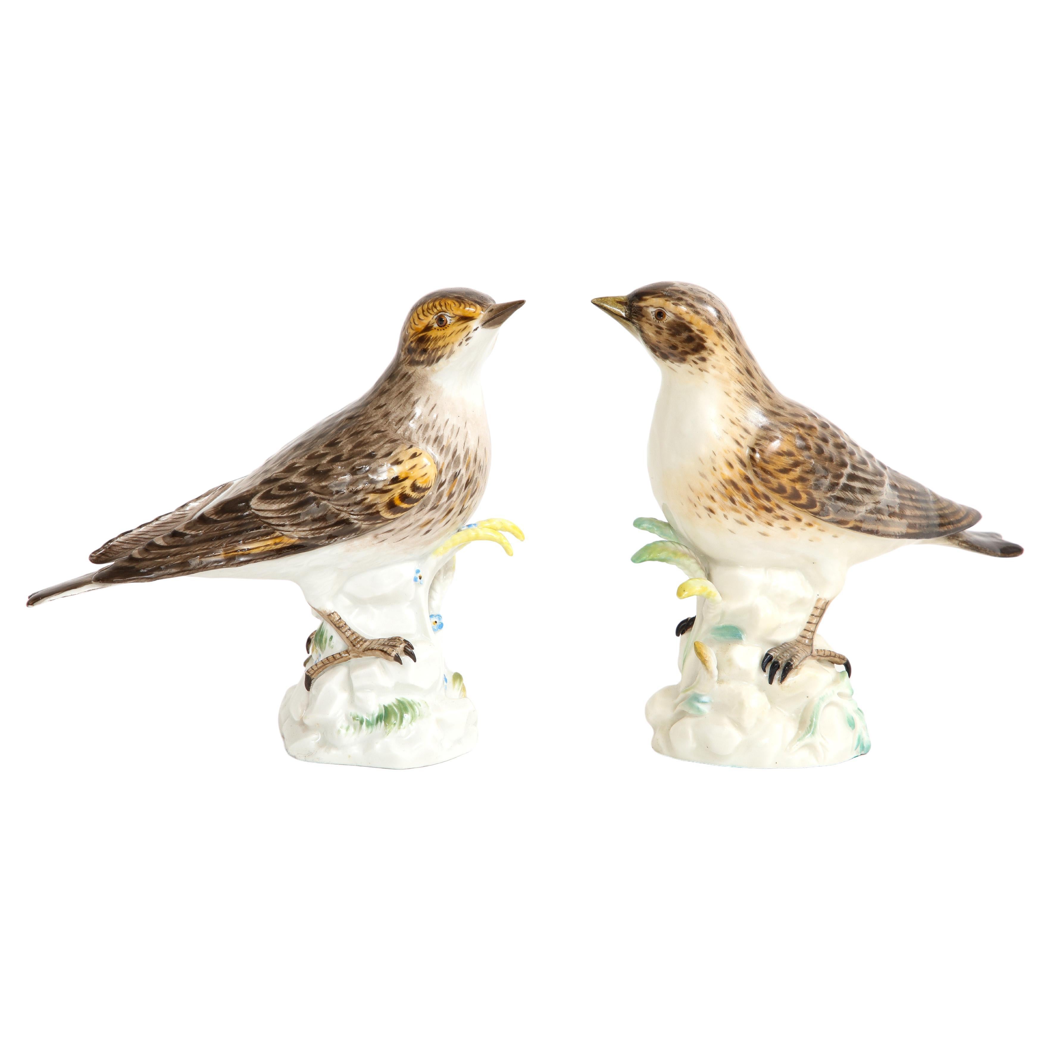 Pair of Meissen Porcelain Models of Brown Fieldfare Birds
