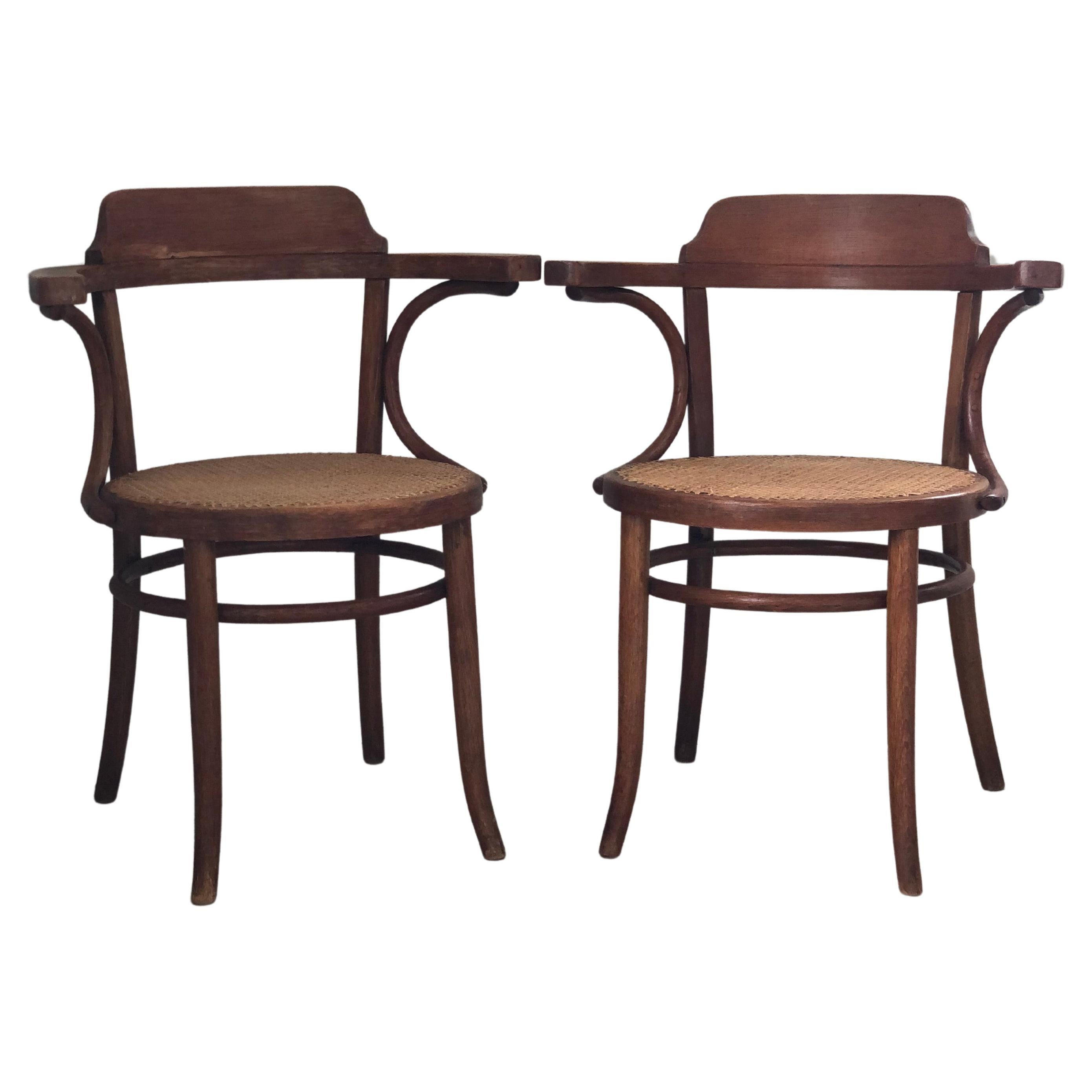 Paire de chaises de salle à manger Thonet en bentwood avec cannage, années 50