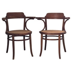 Paire de chaises de salle à manger Thonet en bentwood avec cannage, années 50