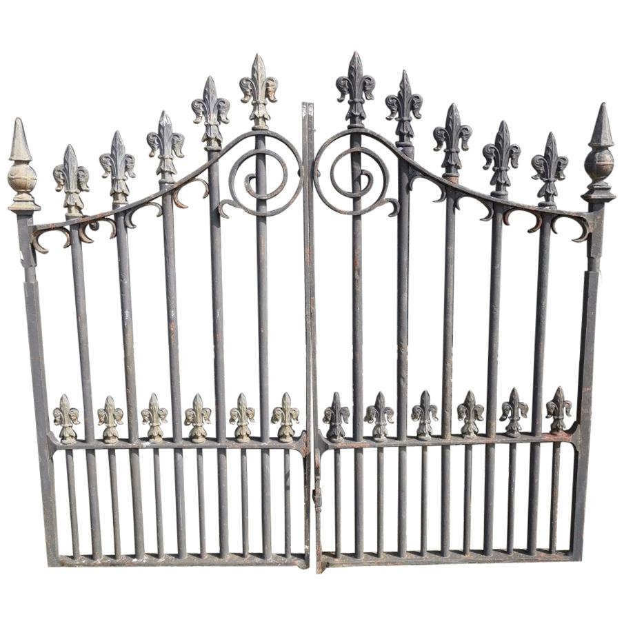 Pair of Mid to Late Victorian Cast Iron Gates with Fluer De Lys Finials