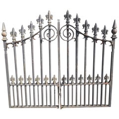 Pair of Mid to Late Victorian Cast Iron Gates with Fluer De Lys Finials