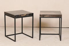 Pair of Modern Style Petrified Wood and Metal Side Tables