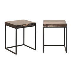 Pair of Modern Style Petrified Wood and Metal Side Tables