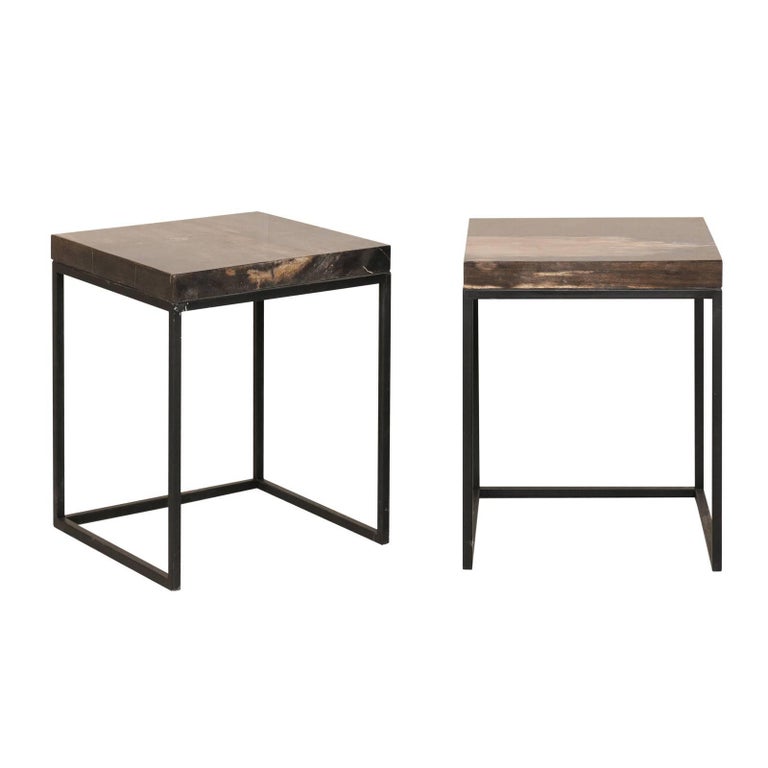 Pair Of Modern Style Petrified Wood And Metal Side Tables For Pair Of Modern Style Petrified Wood And Metal Side Tables For