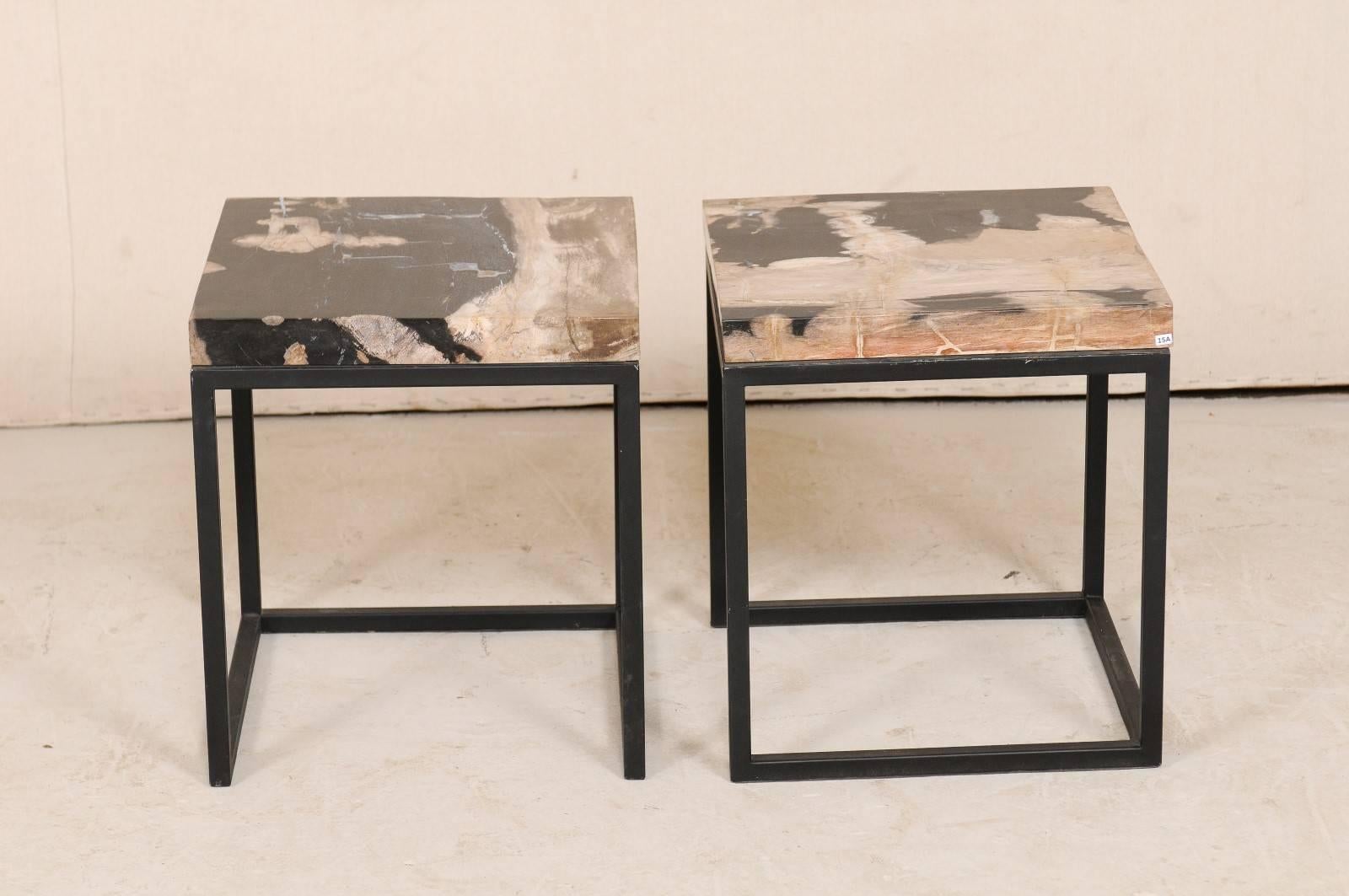 Pair of Modern Style Polished Petrified Wood Drink Tables with Iron Bases 3