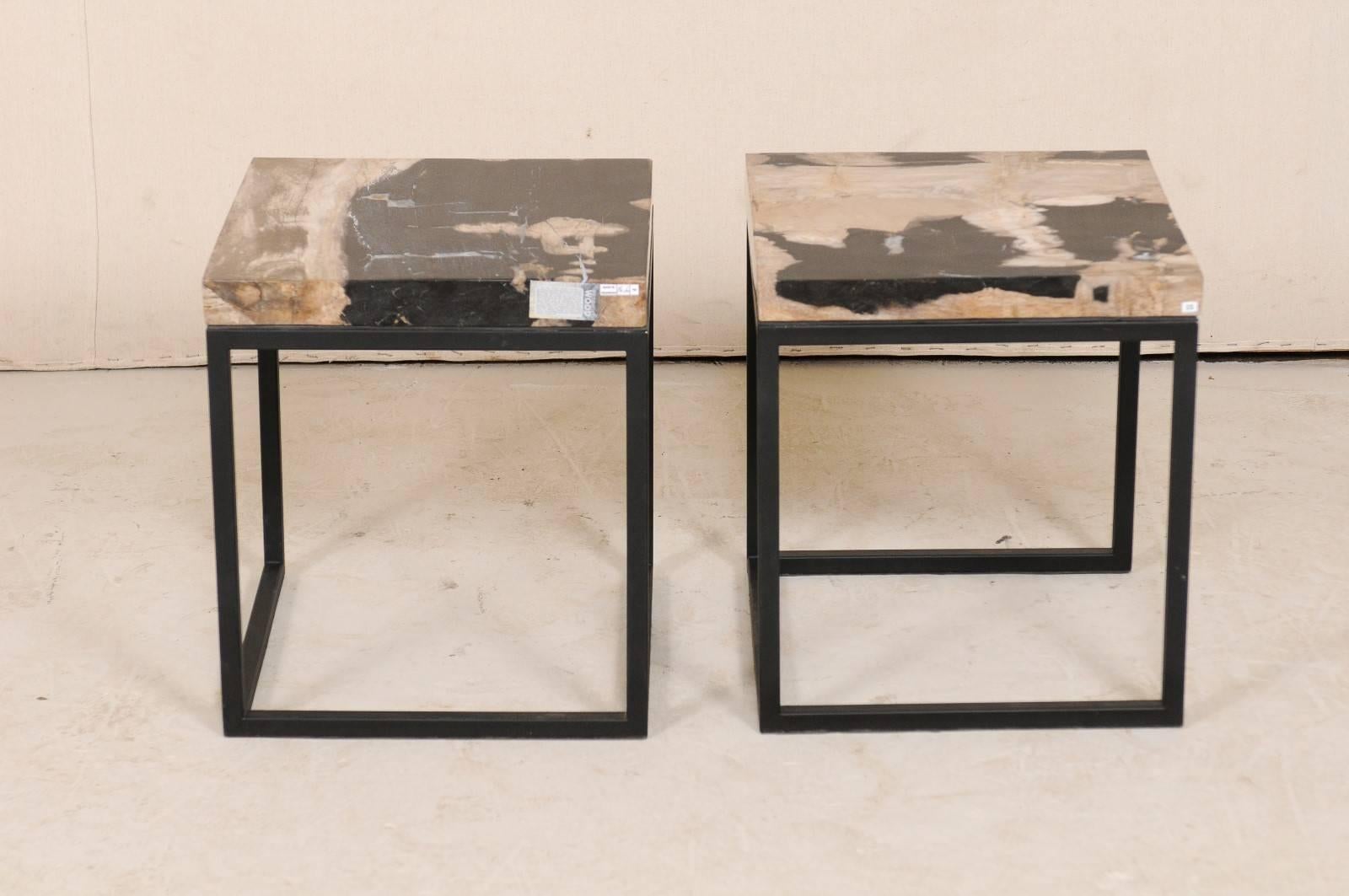 Pair of Modern Style Polished Petrified Wood Drink Tables with Iron Bases 1