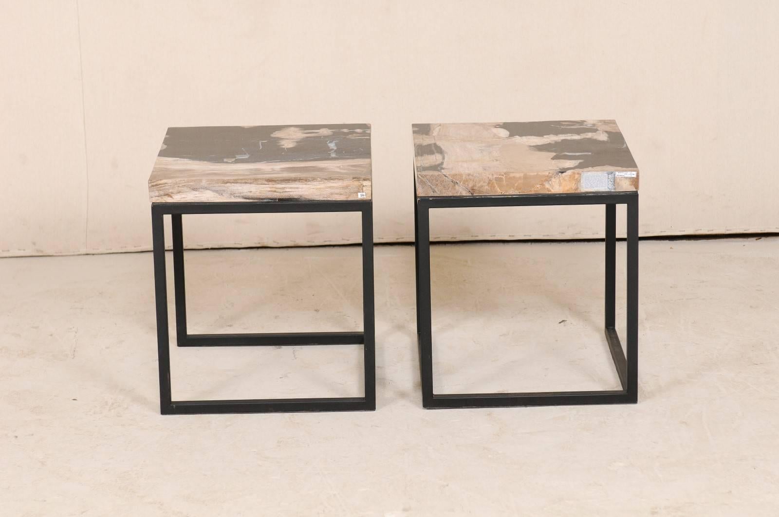 Pair of Modern Style Polished Petrified Wood Drink Tables with Iron Bases 2