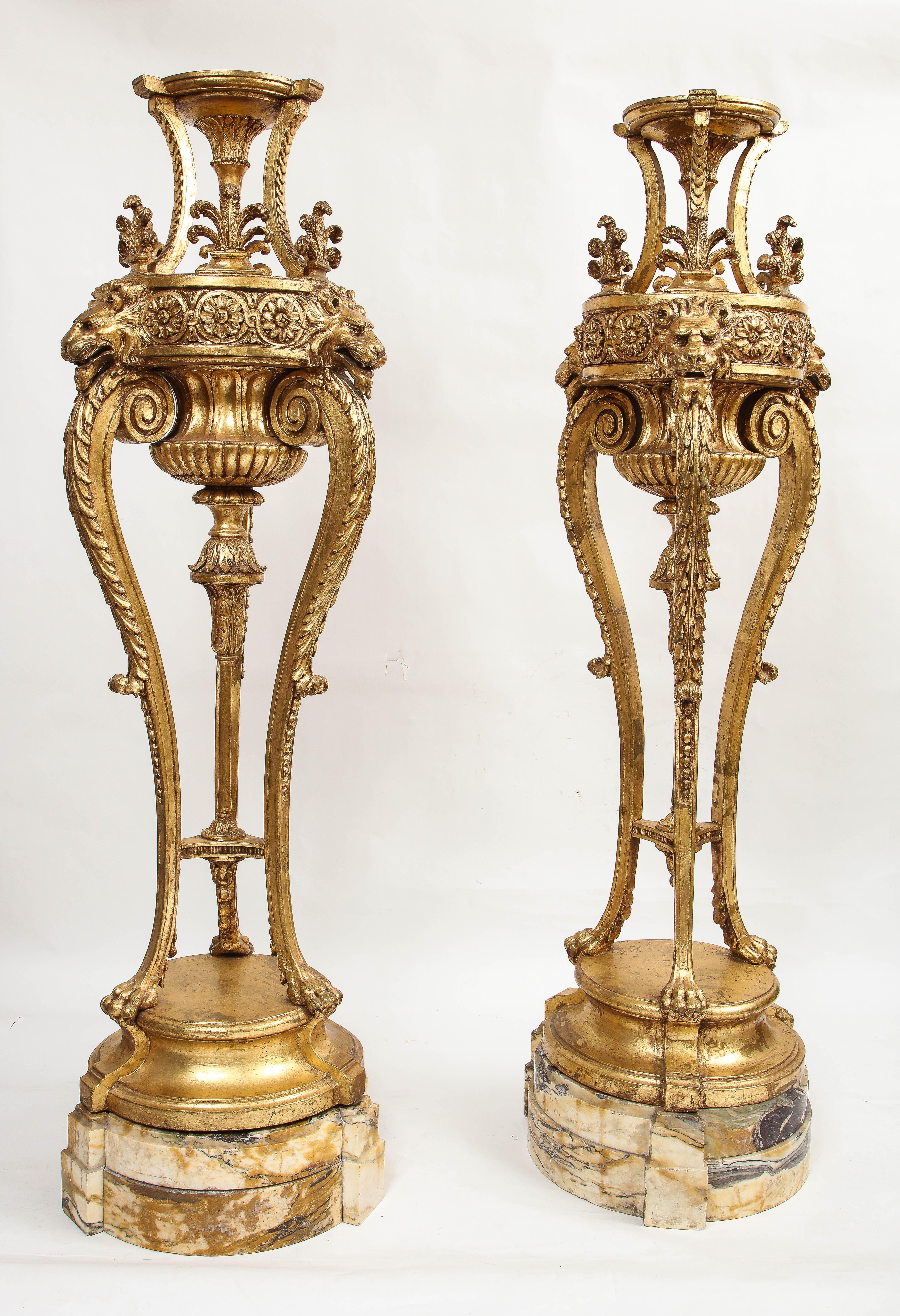 A Pair of Monumental 19th Century Louis XVI Giltwood Torchieres with Original Marble Bases, Attributed to E.F Caldwell.  Each is beautifully hand-carved with tremendous detail.  The upper portion of each are marvelous with a pedestal top to display
