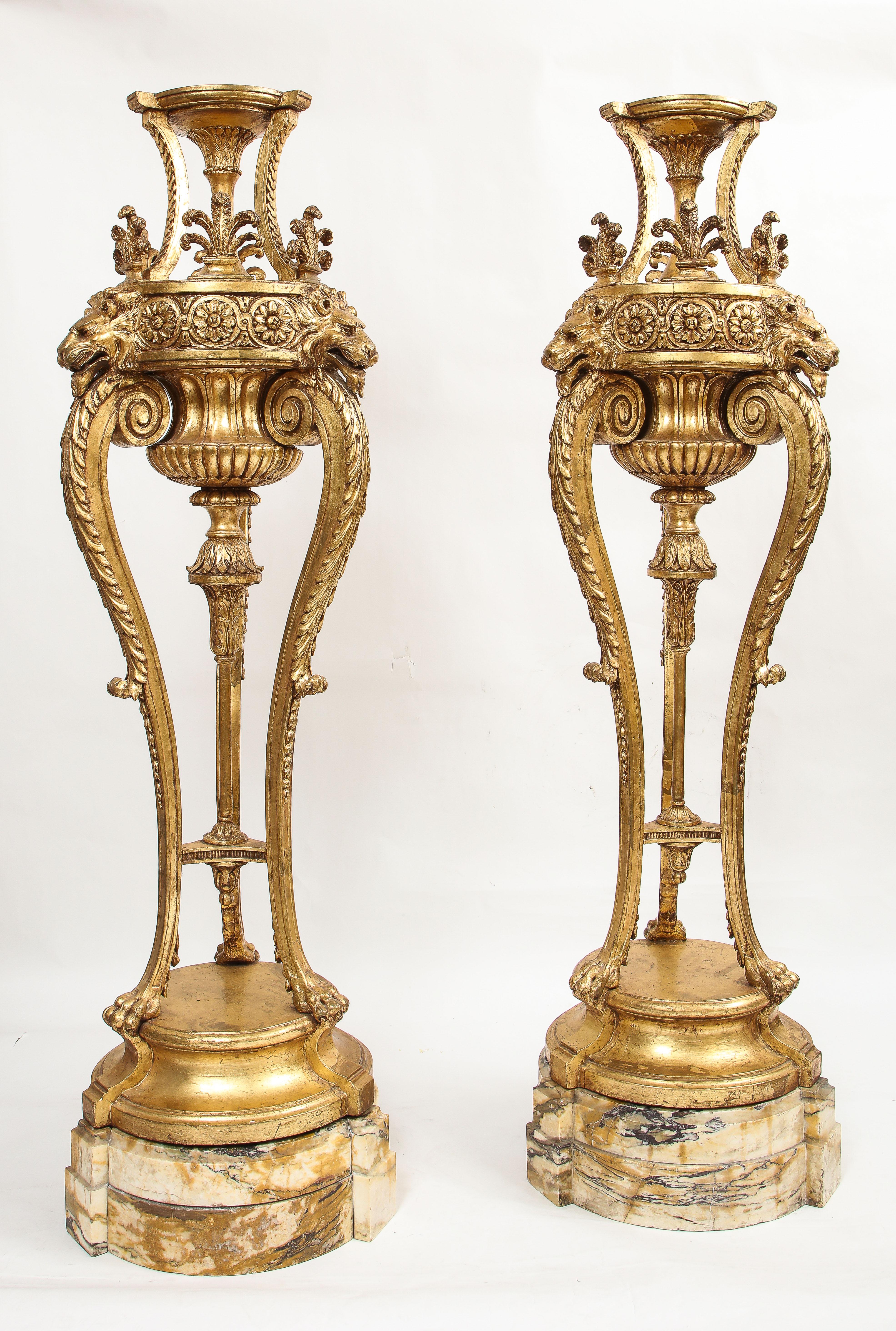 Louis XVI A Pair of Monumental 19th Century Giltwood Torchieres with Original Marble Bases
