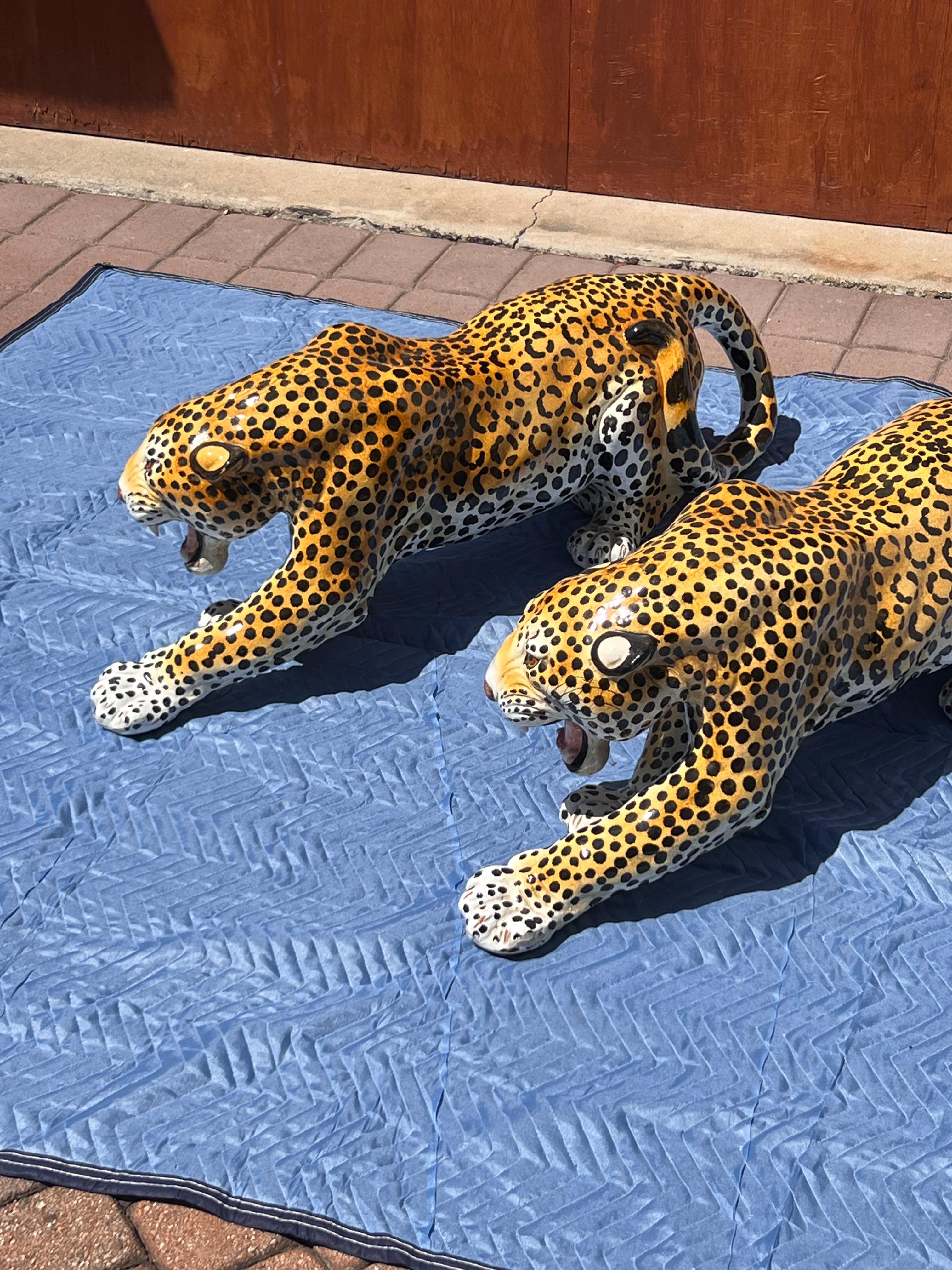 Un llamativo par de leopardos de cerámica esmaltada italiana de época, de mediados del siglo XX, probablemente de finales de los sesenta o principios de los setenta. Estas estatuas, inmortalizadas con los colmillos fuera, listas para abalanzarse,