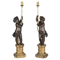 A pair of Napoleon III bronze and ormolu table lamps