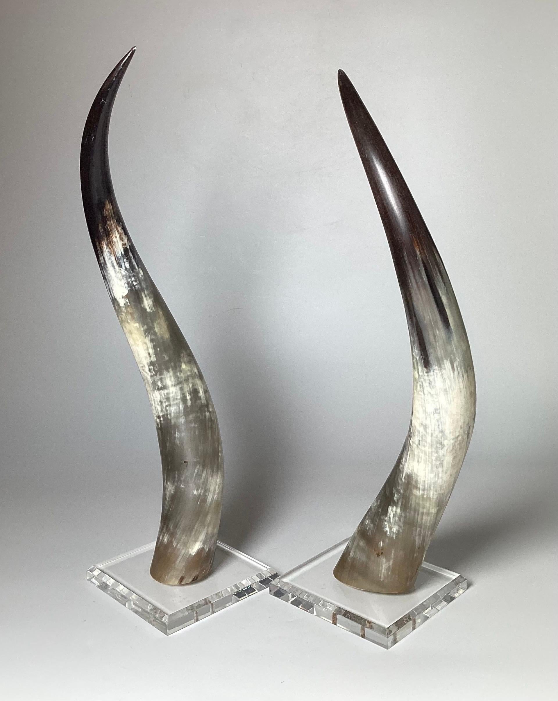 A chic pair of steer horns each mounted on Lucite bases. These highly decorative horns add a unique air of sophistication to the décor of any space 6 inches square base, 20.5 inches tall.