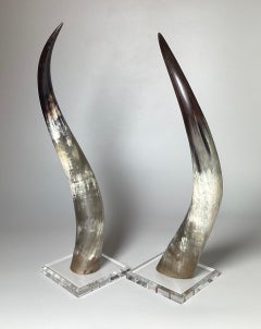 Pair of Natural Steer Horns on Lucite Bases