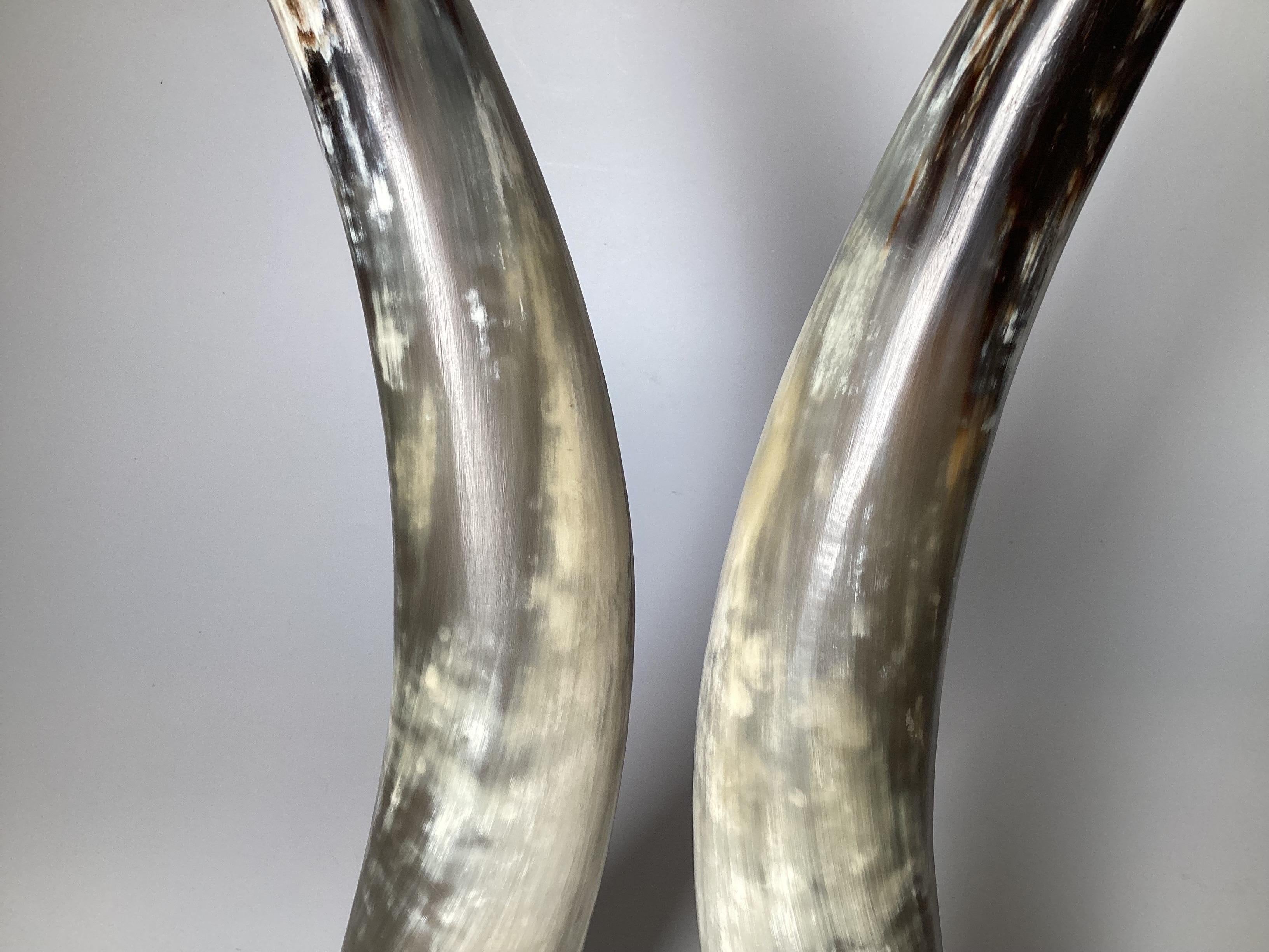 Post-Modern Pair of Natural Steer Horns on Lucite Bases For Sale