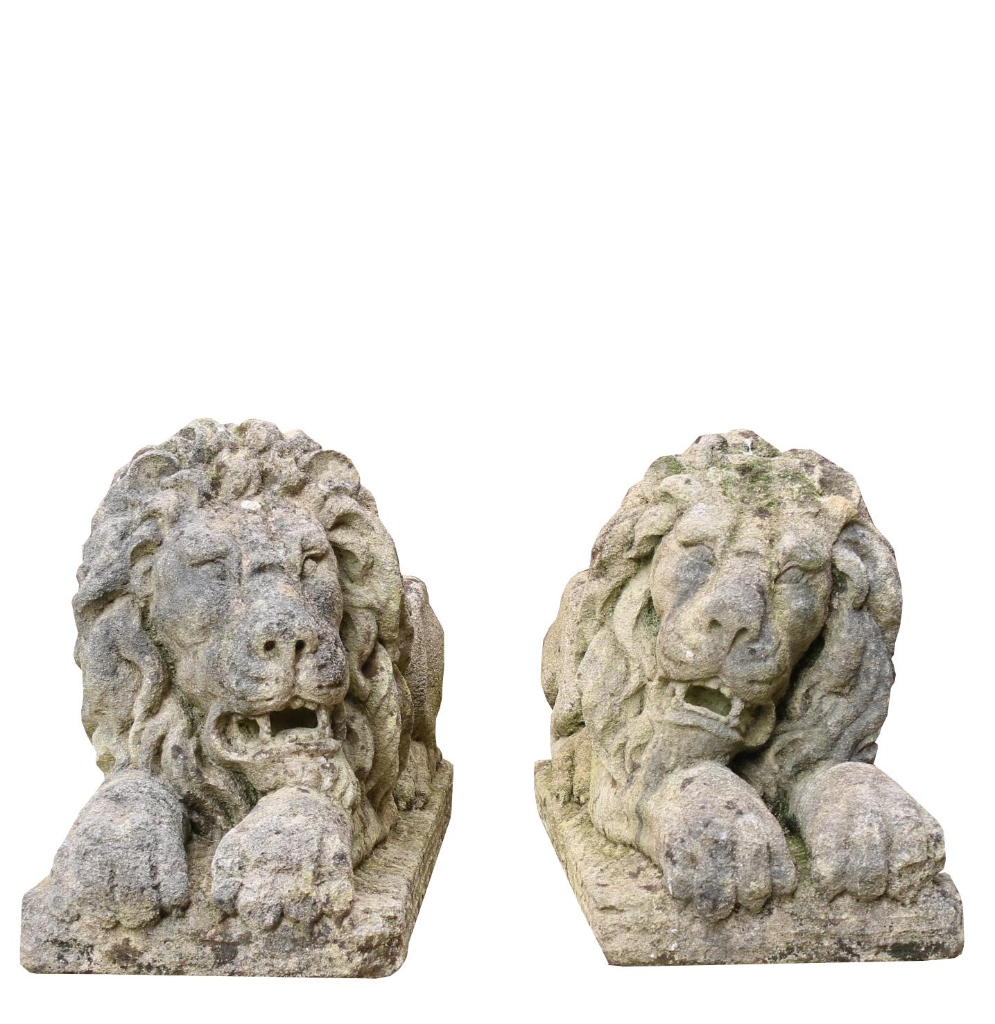 About:

A pair of carved limestone lions; After Canova

Condition report:

One lion’s paw has a small loss to the front. Weathered finish. 

Style:

Italian neoclassical

Period:

Second half of the 20th century

Origin:

England,