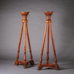 Pair of Antique Mahogany Pedestals, Hand-Carved, Austrian, Circa 1870