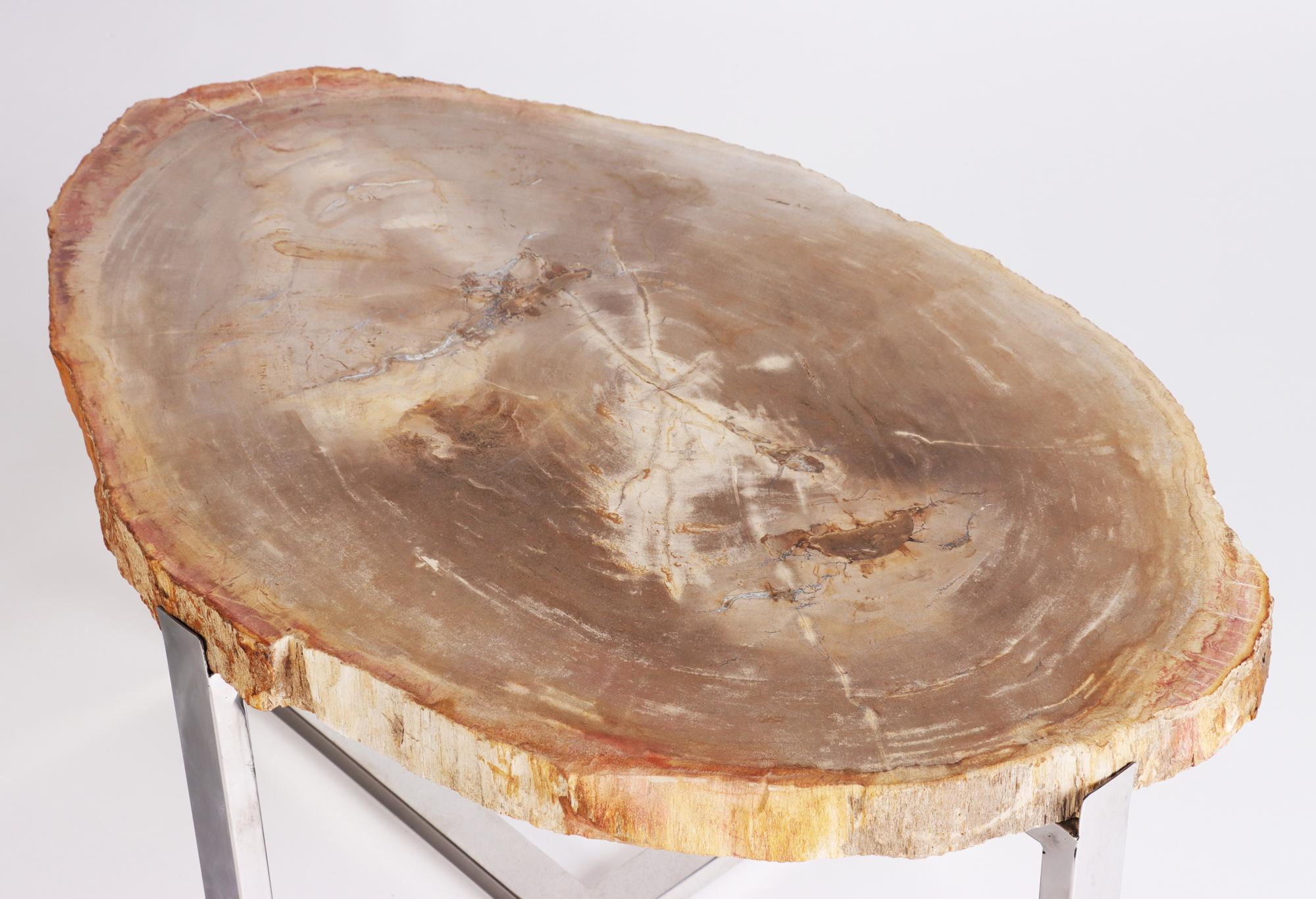 Pair of Organic Modern Petrified Wood Side Tables, 21st C 5